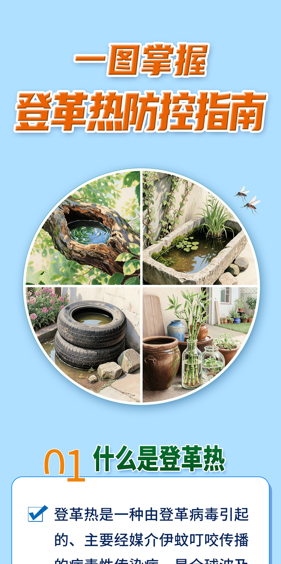 一图掌握登革热防控指南_01.jpg